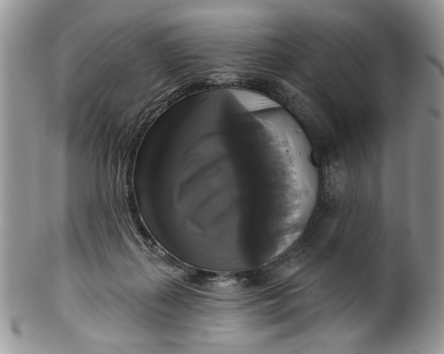 X0000099950267200806131454