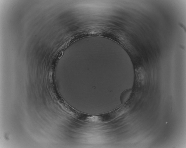 X0000099950269200806131454