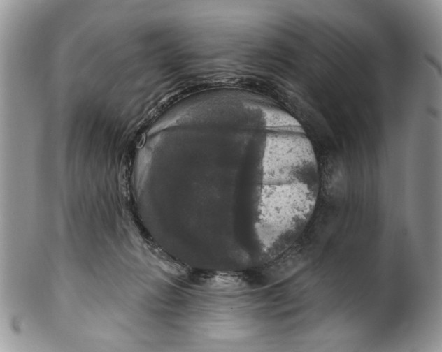 X0000099950270200806131454