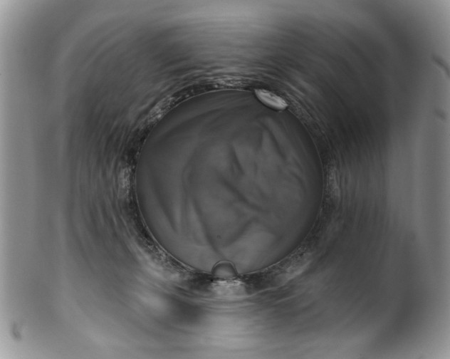 X0000099950271200806131454