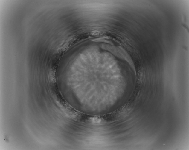 X0000099950272200806131454