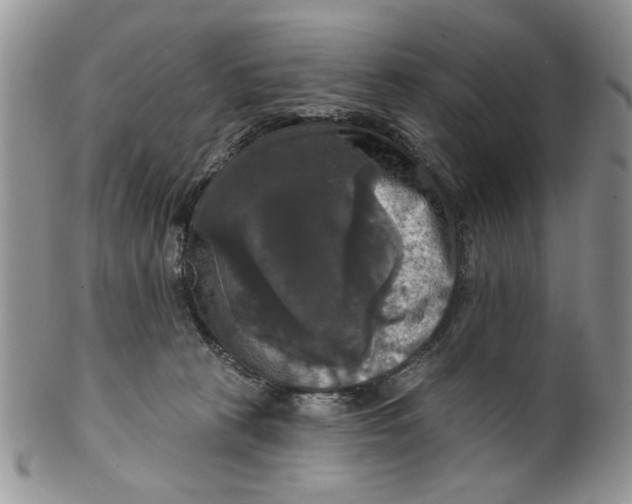 X0000099950273200806131454