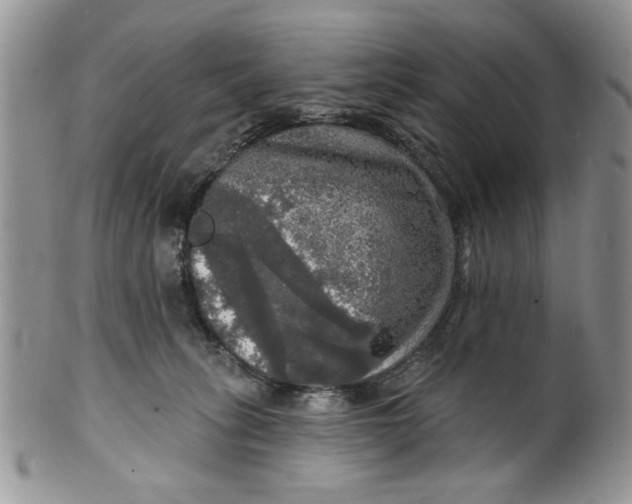 X0000099950275200806131454