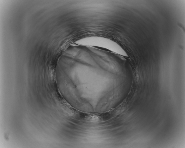 X0000099950276200806131454