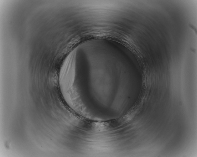 X0000099950277200806131454