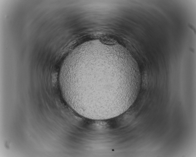X0000099950278200806131454