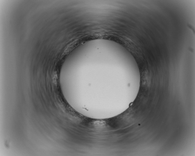 X0000099950279200806131454