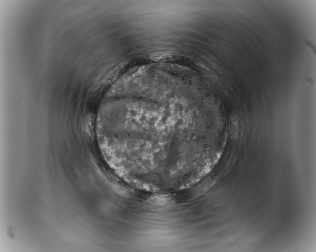 X0000099950280200806131454