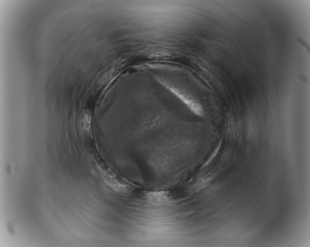 X0000099950281200806131454