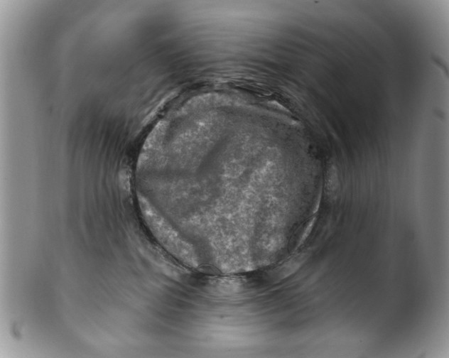 X0000099950282200806131454