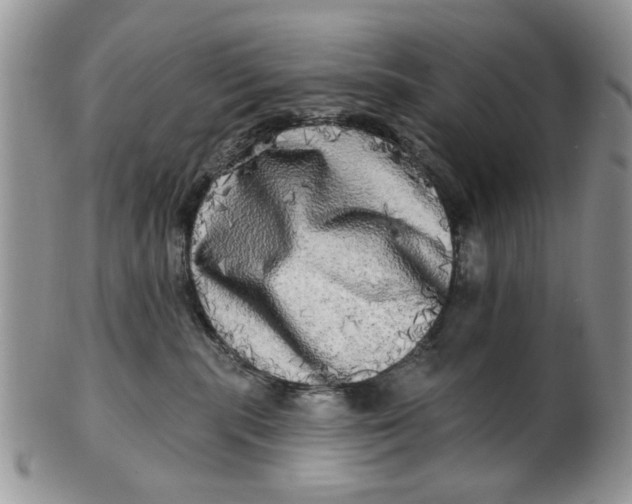 X0000099950283200806131454