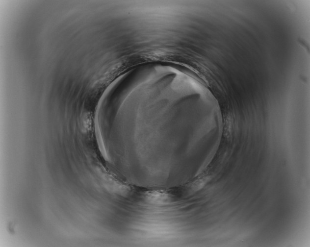 X0000099950284200806131454