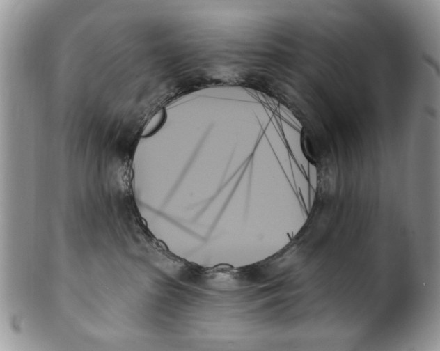 X0000099950285200806131454