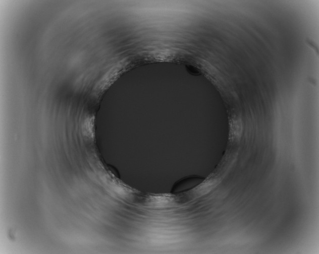 X0000099950286200806131454