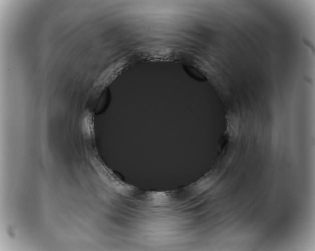 X0000099950287200806131454