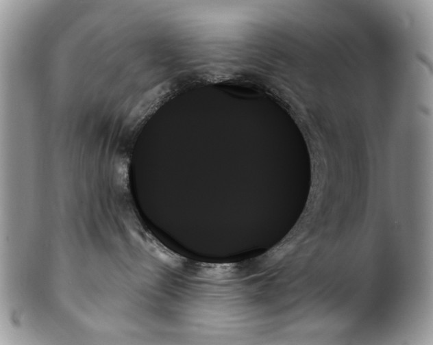 X0000099950288200806131454