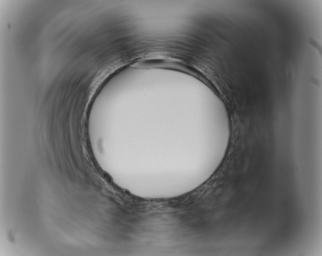 X0000099950289200806131454