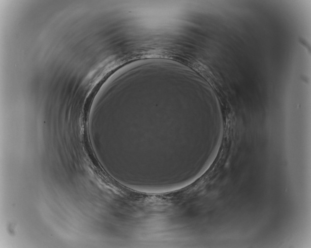 X0000099950290200806131454