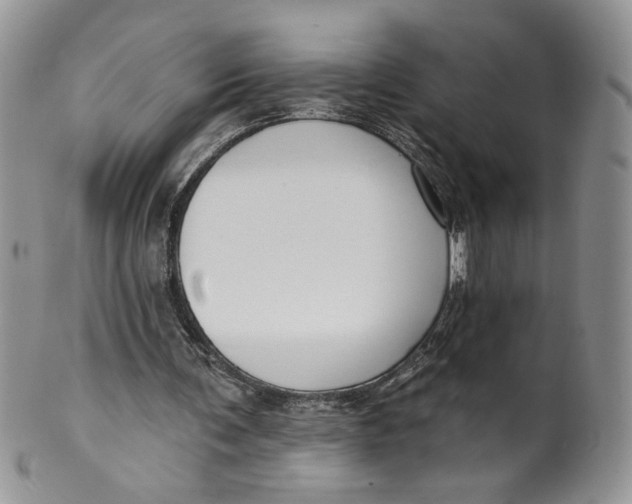X0000099950291200806131454