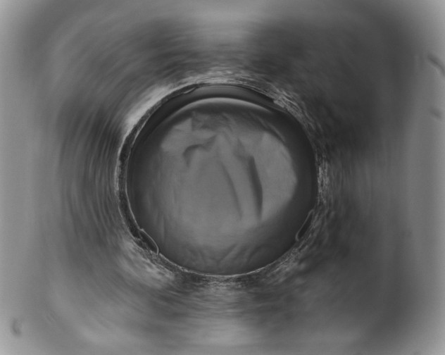 X0000099950292200806131454