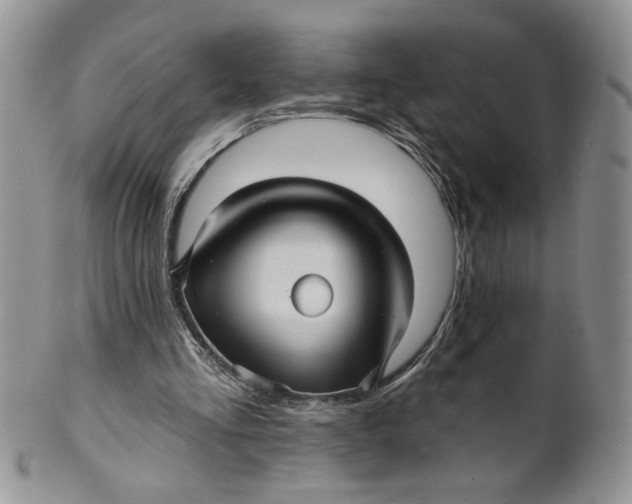X0000099950293200806131454