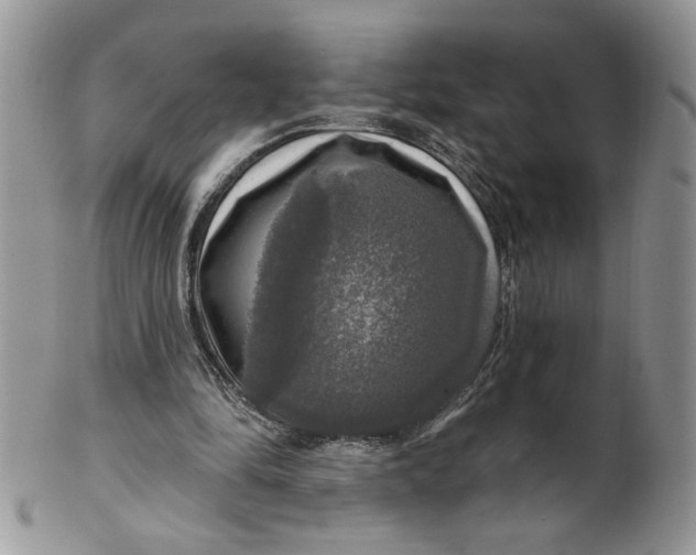 X0000099950294200806131454