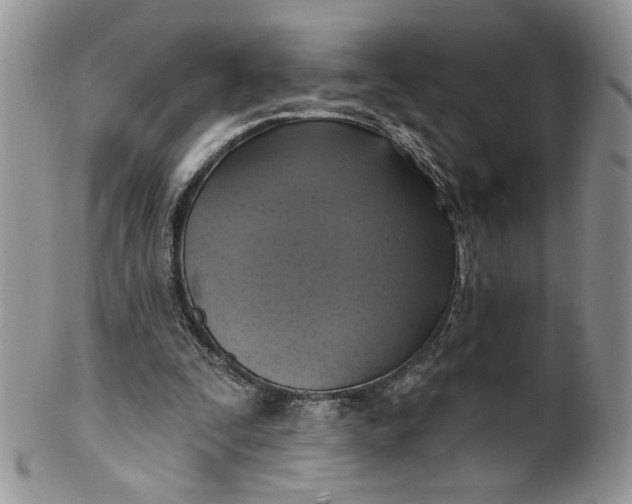 X0000099950295200806131454