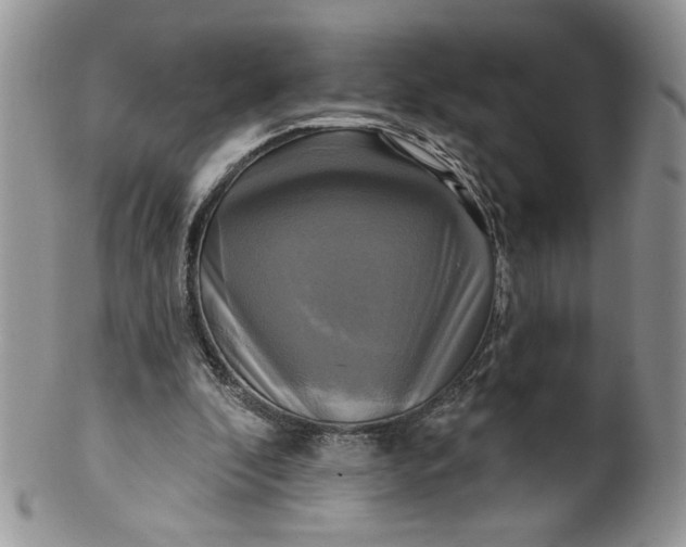 X0000099950296200806131454