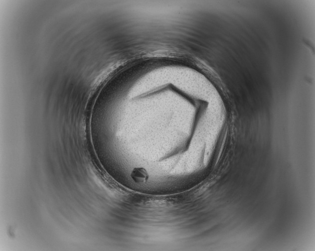 X0000099950298200806131454