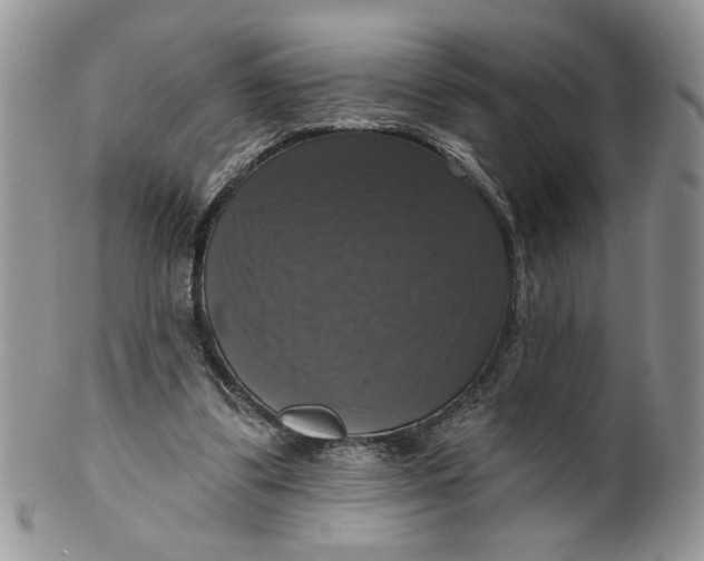 X0000099950299200806131454
