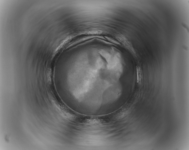 X0000099950300200806131453