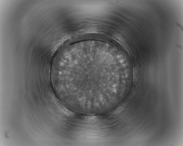 X0000099950301200806131453