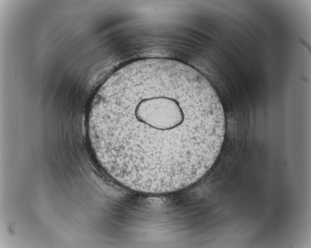 X0000099950302200806131453
