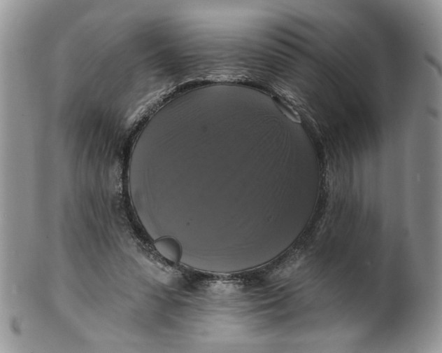 X0000099950303200806131453