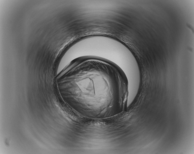 X0000099950304200806131453