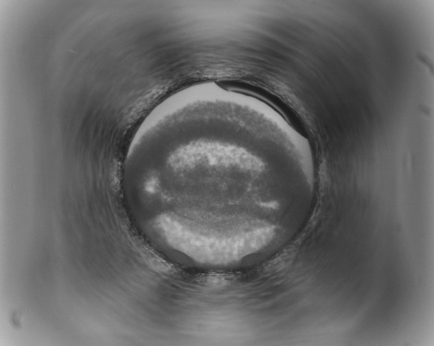 X0000099950305200806131453
