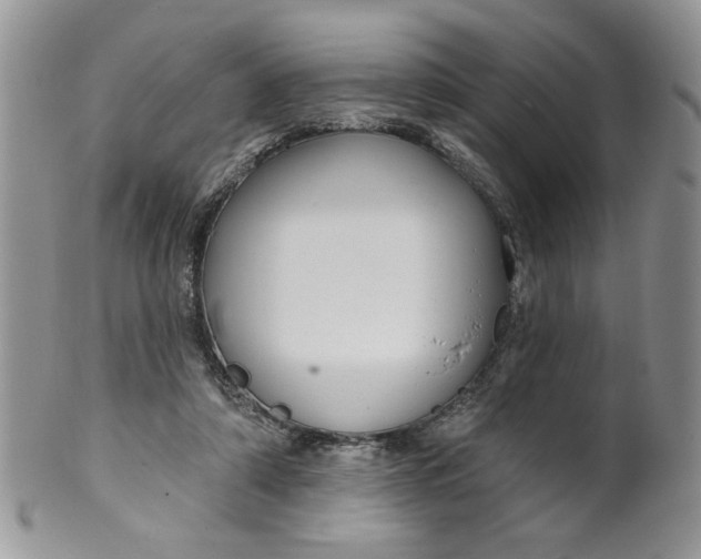 X0000099950306200806131453