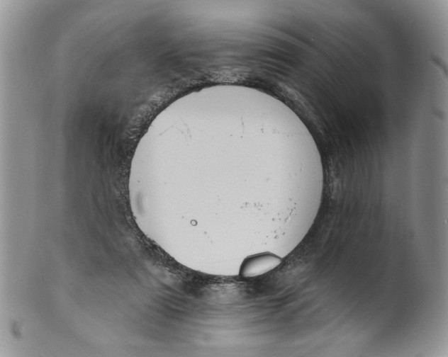 X0000099950307200806131453