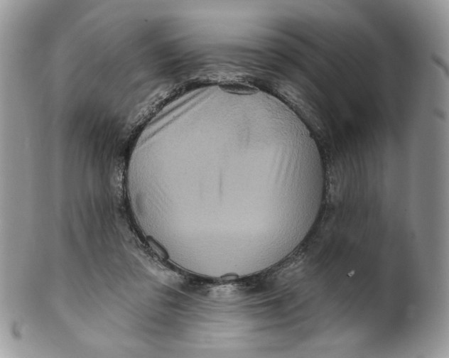 X0000099950309200806131453