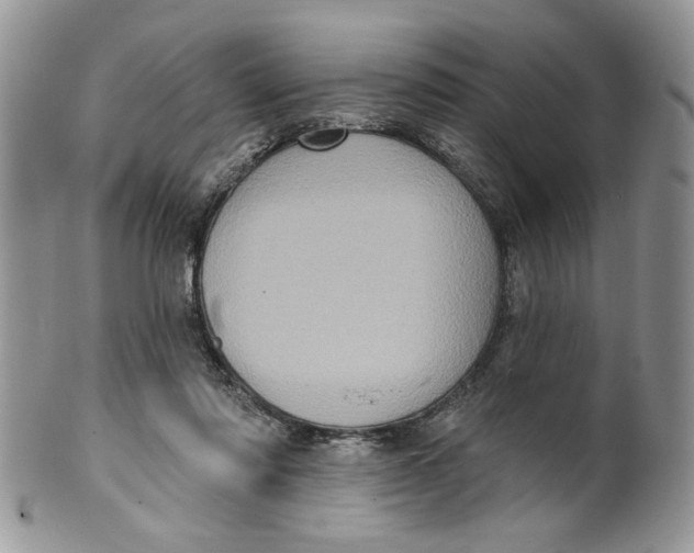 X0000099950310200806131453