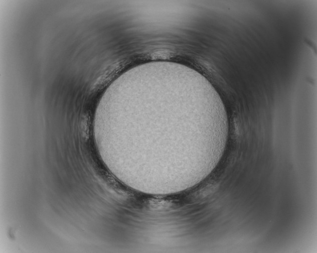 X0000099950311200806131453