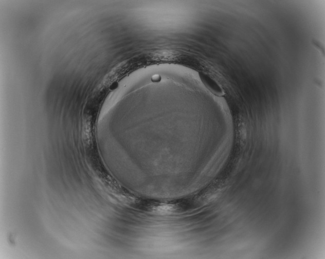X0000099950312200806131453