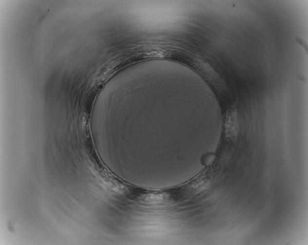 X0000099950314200806131453