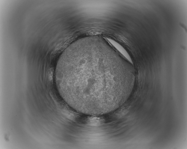 X0000099950315200806131453