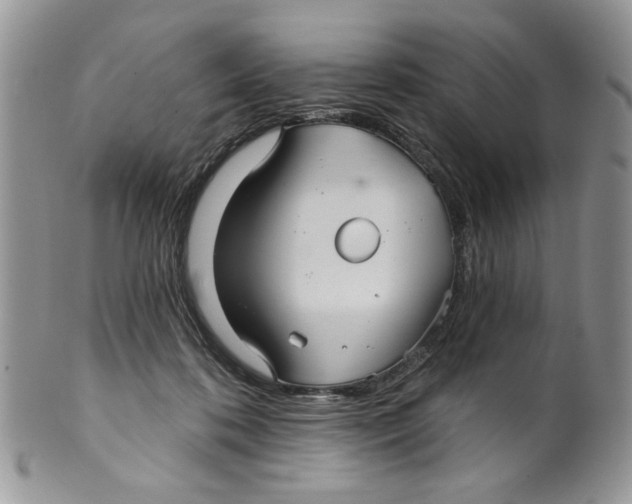 X0000099950316200806131453