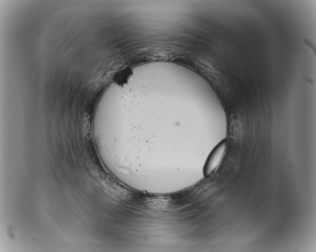 X0000099950318200806131453