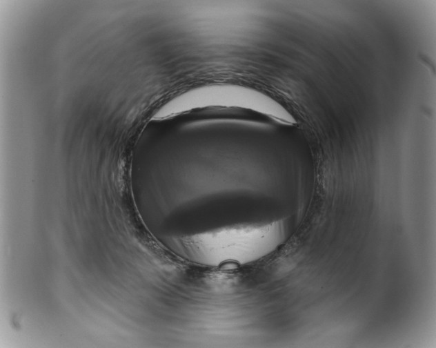 X0000099950319200806131453