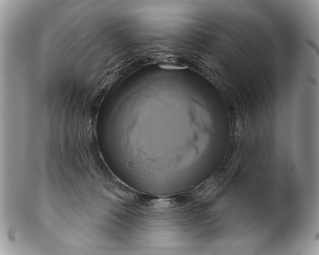 X0000099950320200806131453