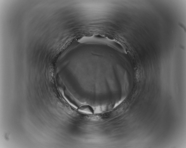 X0000099950322200806131453