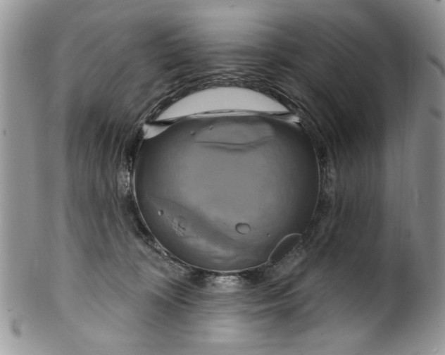 X0000099950324200806131453